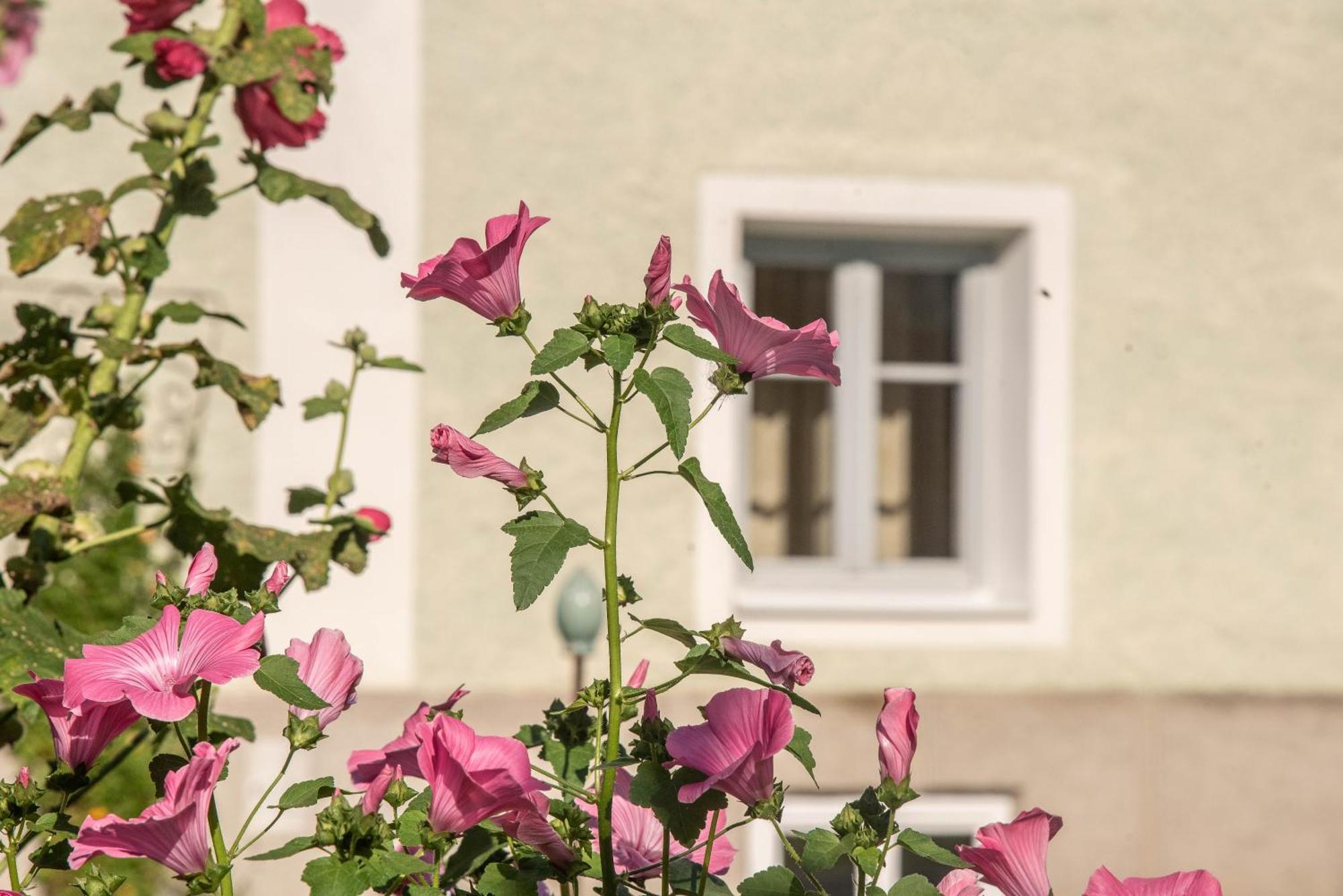 Apartamento Puenlandhof Brunico Exterior foto